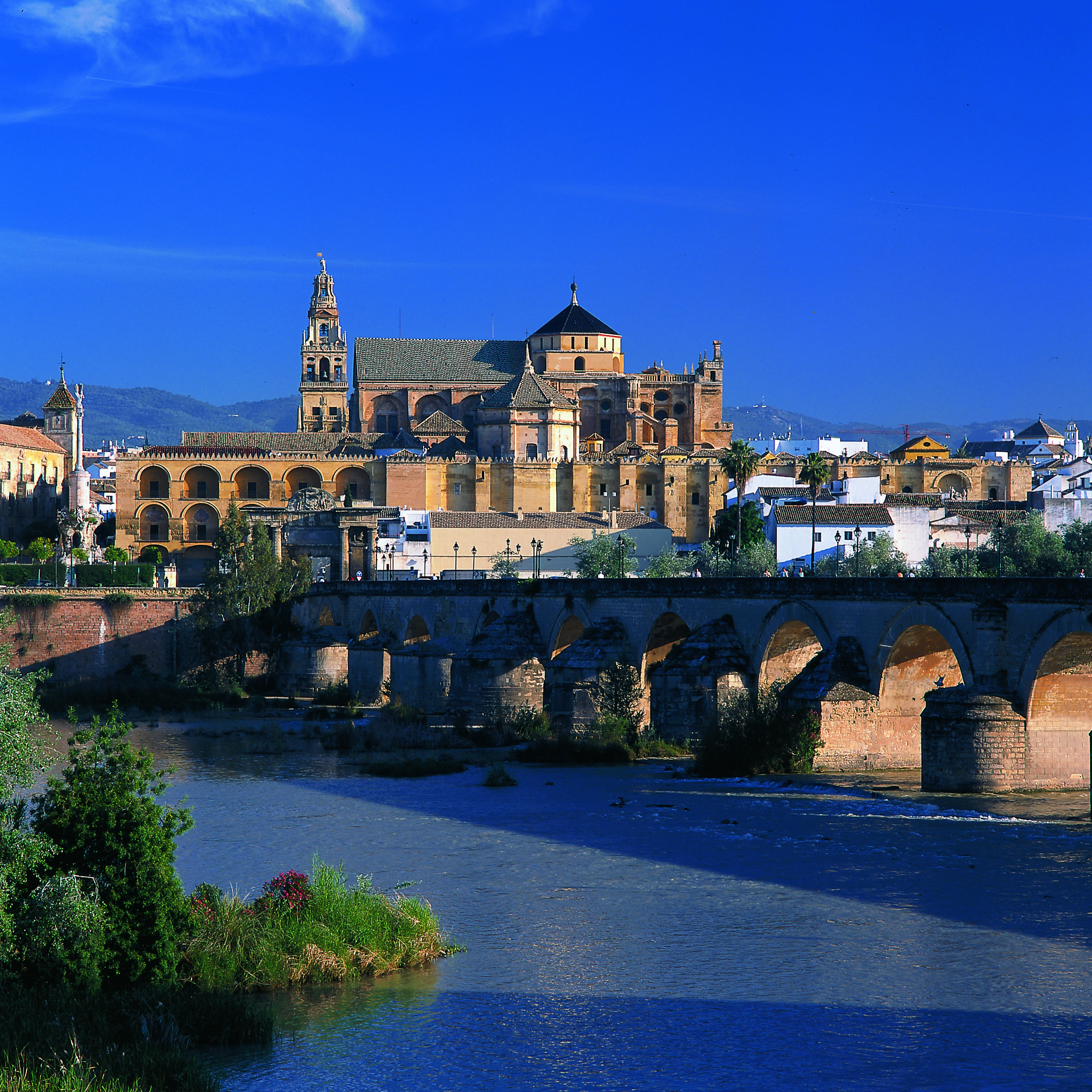 Domkirken Og Den Gamle Moské I Cordoba Ligger Smukt Ved Floden Guadalquivir