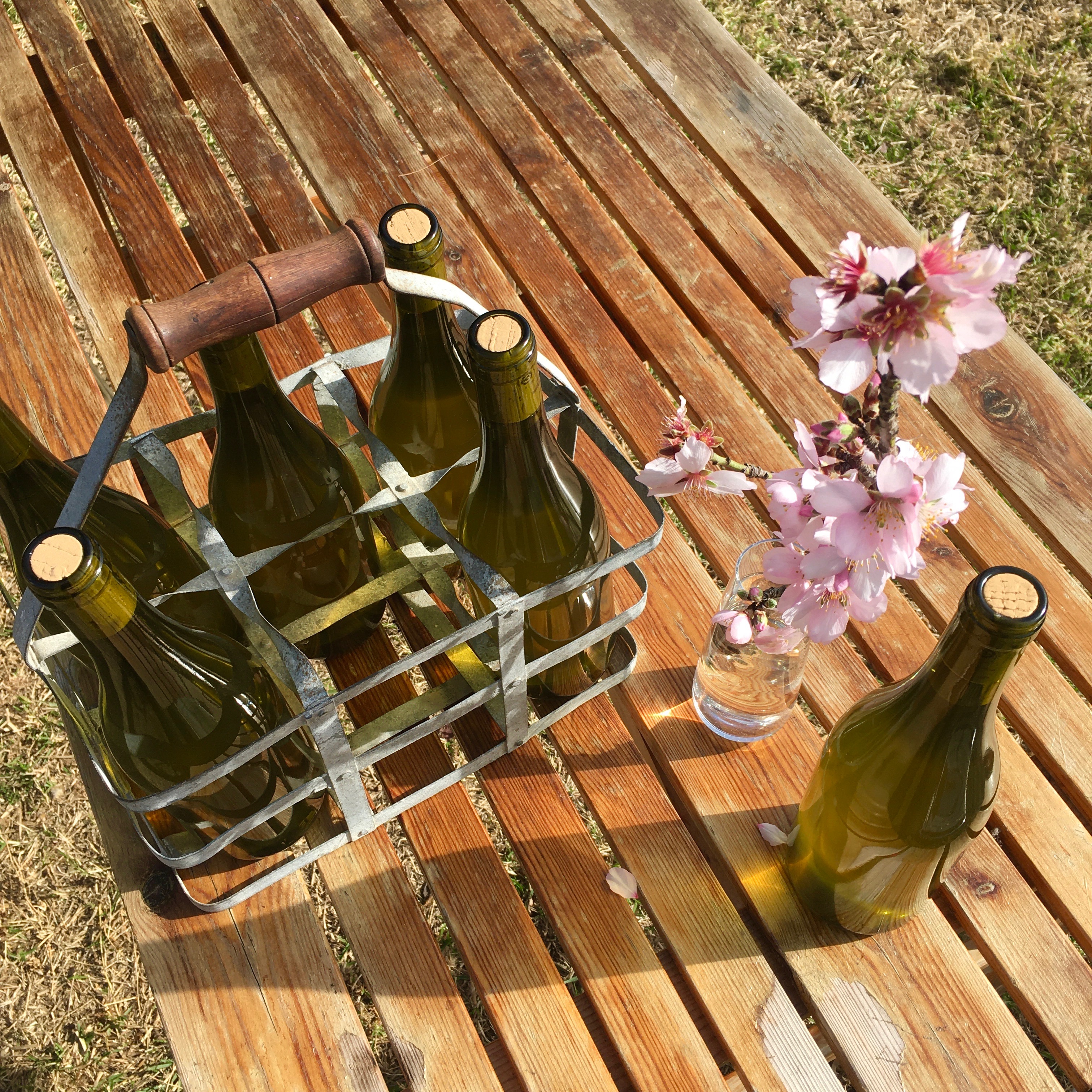 Spanien, Catalonien, Vin & Vandring Priorat, udflugt Spanien, Catalonien, Vin & Vandring Priorat, udflugt