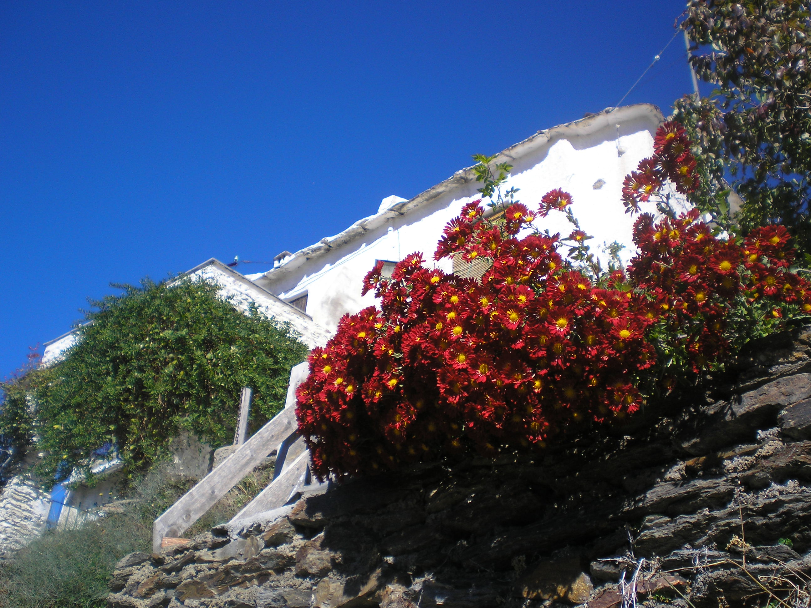 Alpujarras Detalje 1