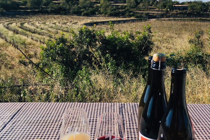 Spanien, Catalonien, Vin & Vandring Priorat, picnic med naturvin