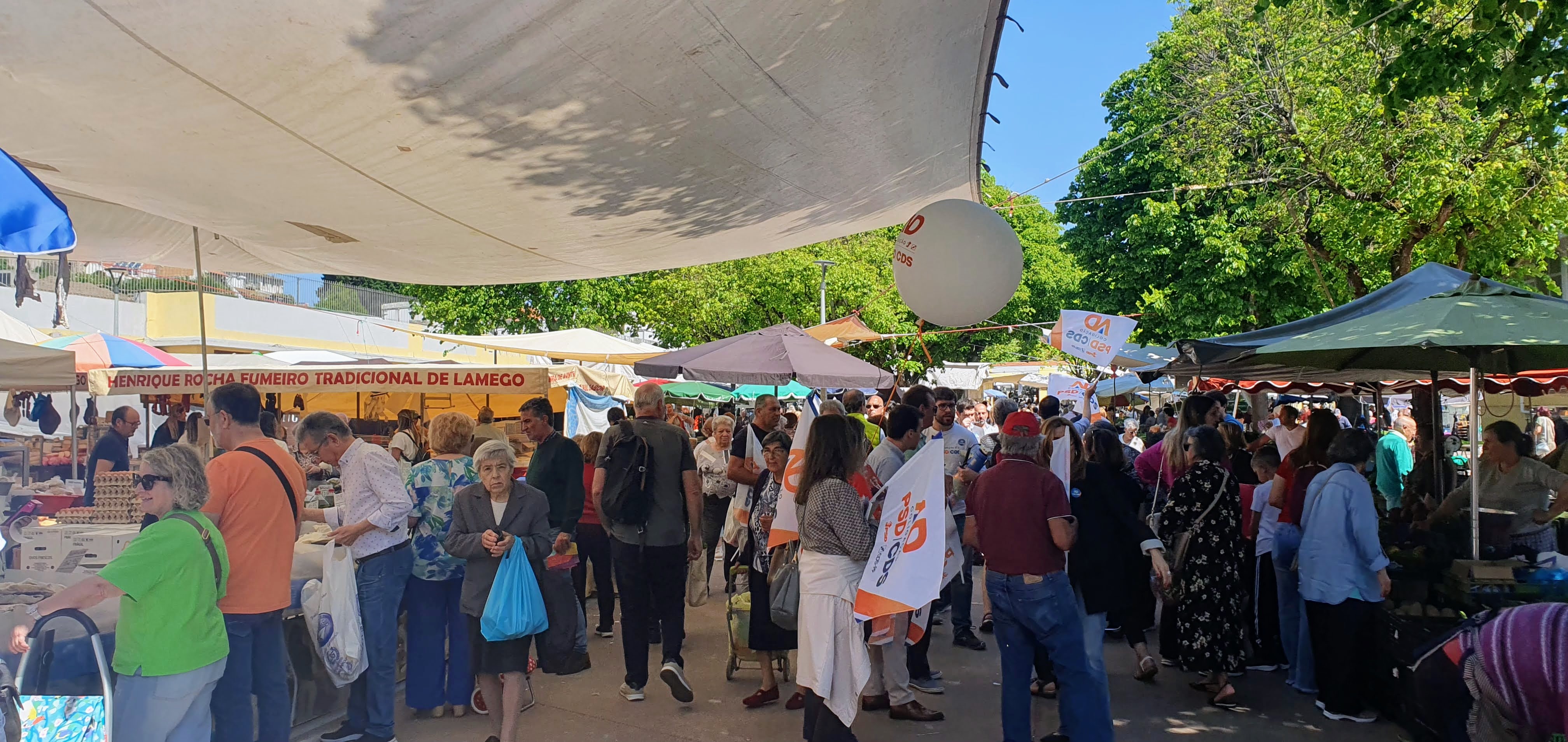 Portugal, Højskole Ved Porto, Lørdagsmarked