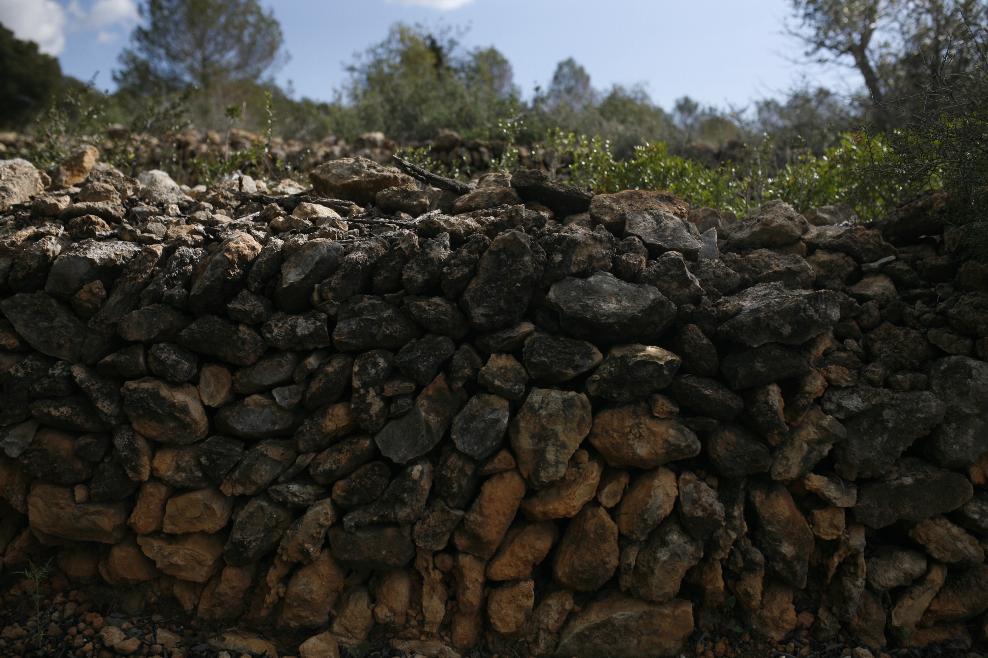 Spanien, Catalonien, Vin & Vandring Priorat, stengærder Spanien, Catalonien, Vin & Vandring Priorat, stengærder
